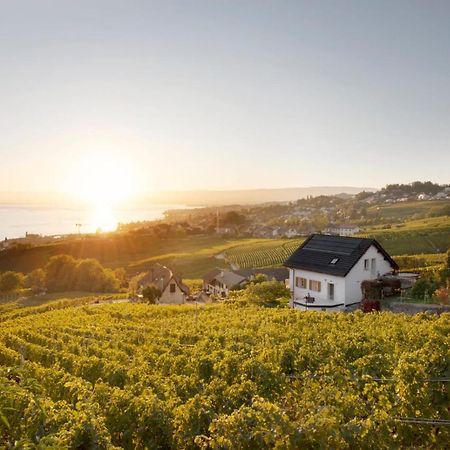 Готель #Lavaux Лютрі Екстер'єр фото
