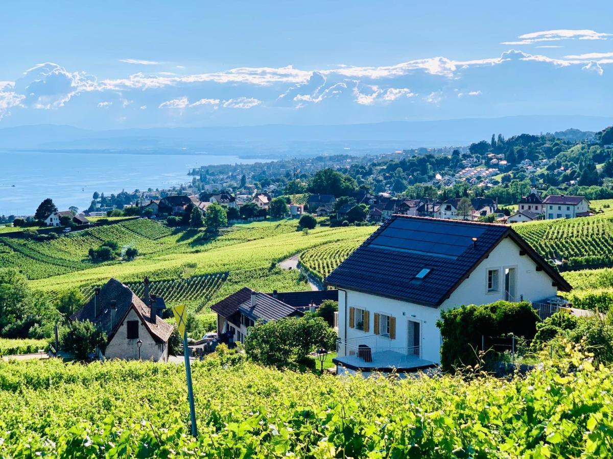 Готель #Lavaux Лютрі Екстер'єр фото