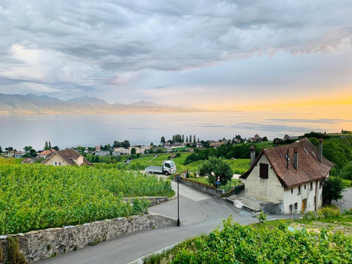 Готель #Lavaux Лютрі Екстер'єр фото
