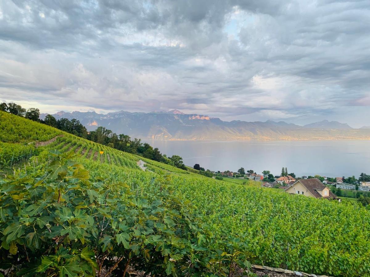 Готель #Lavaux Лютрі Екстер'єр фото