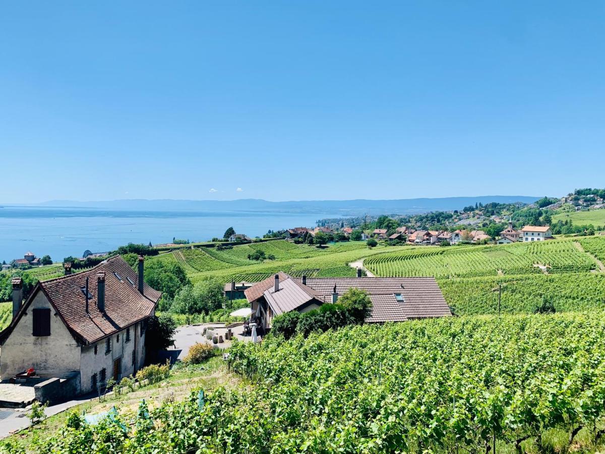 Готель #Lavaux Лютрі Екстер'єр фото