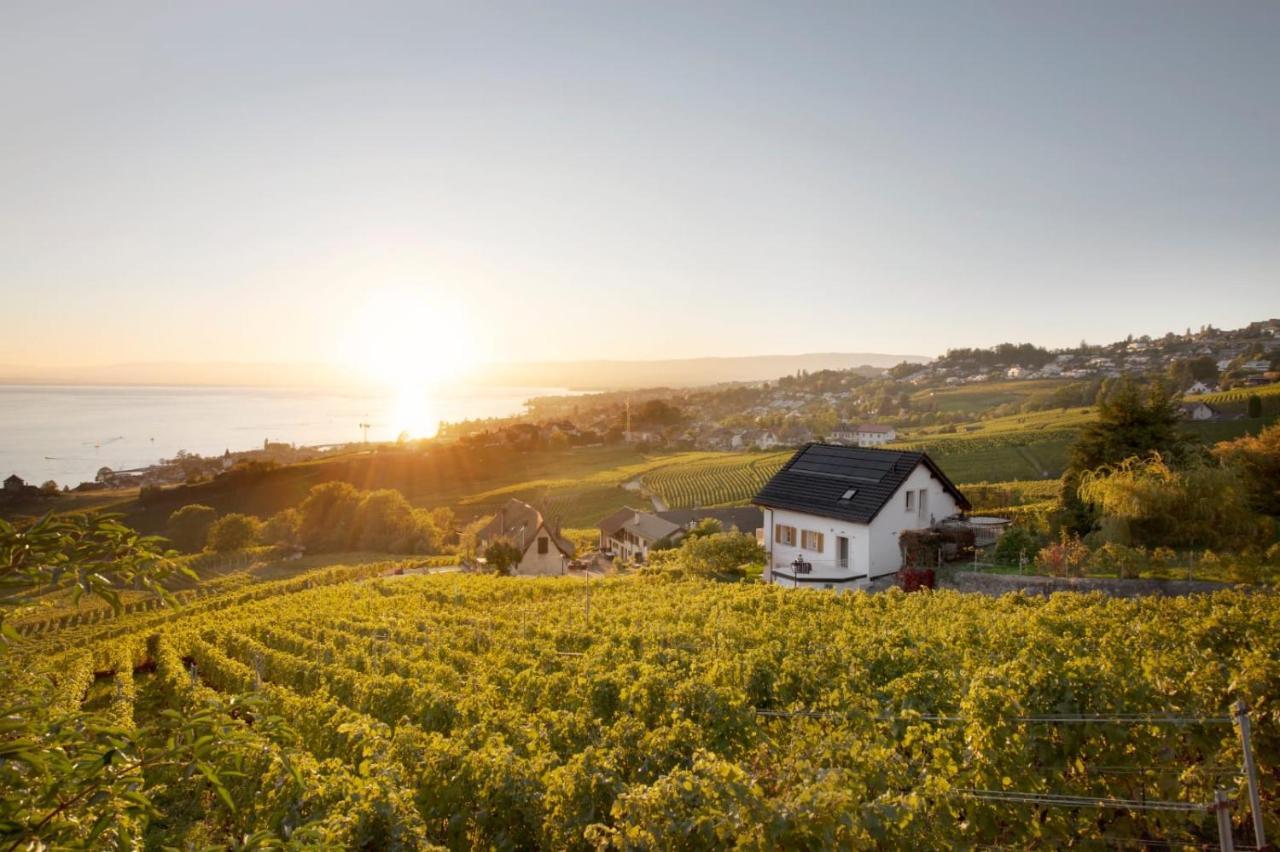 Готель #Lavaux Лютрі Екстер'єр фото